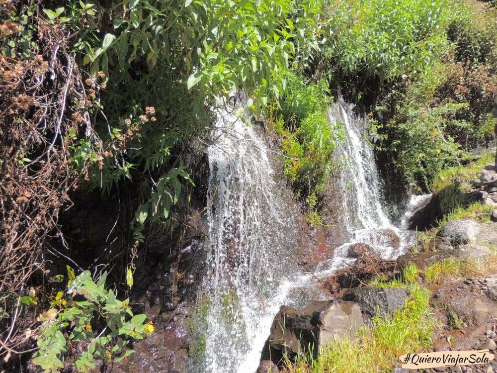 Bosque de los Tilos, nacientes de Marcos y Cordero