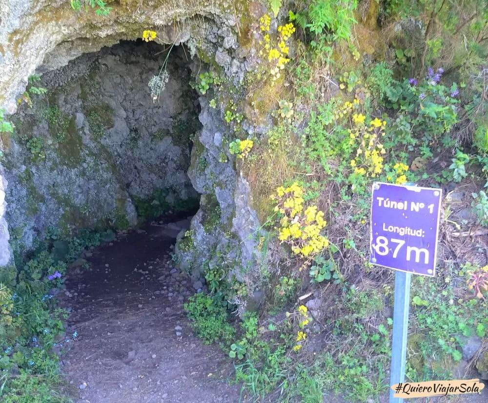 Bosque de los Tilos, túnel