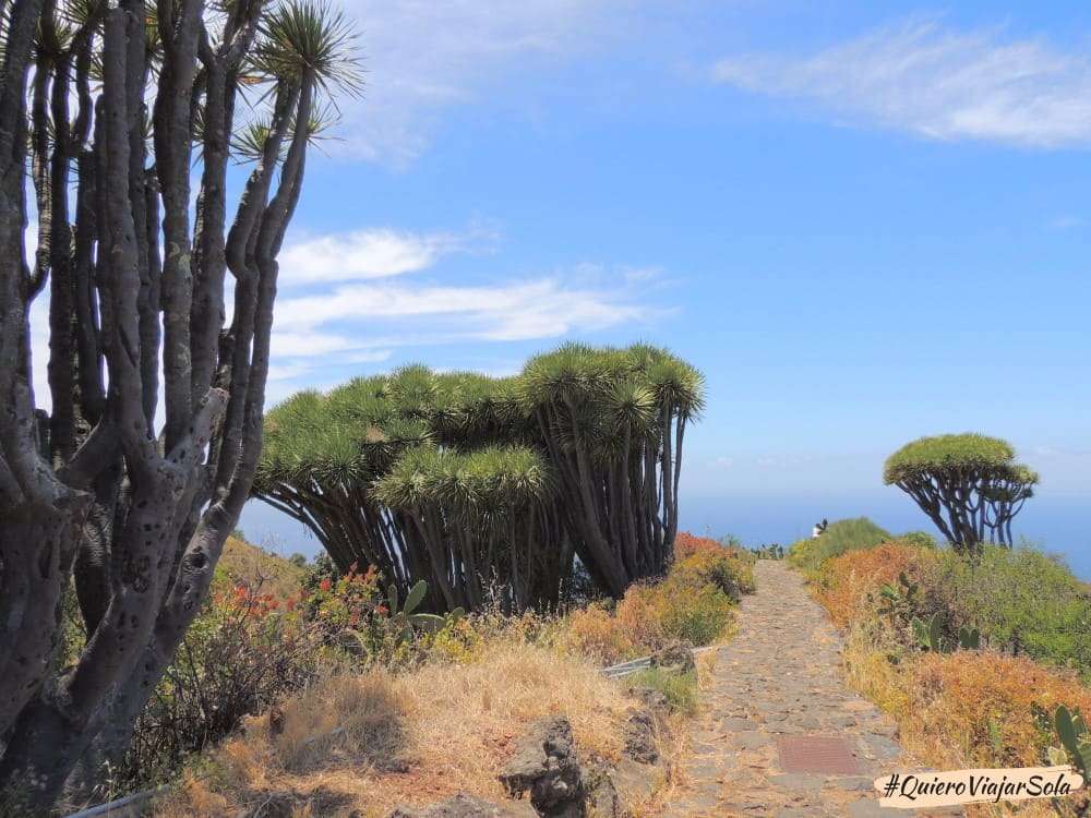 Ruta de los Dragos