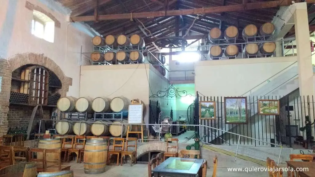 Qué hacer en Mendoza, bodegas y viñedos