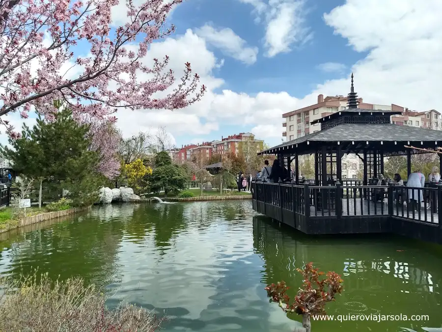 Estanque del jardín