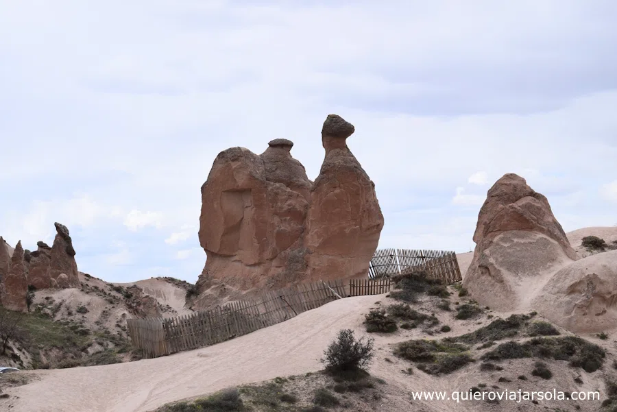 Roca del camello