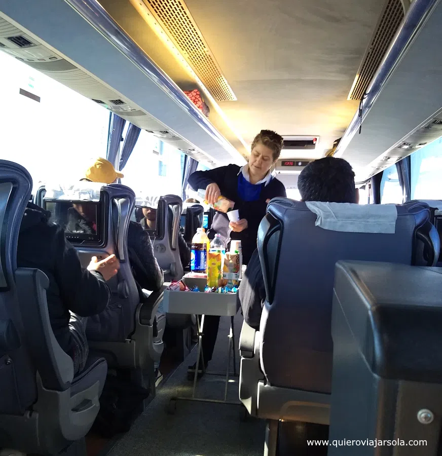 Azafata sirviendo café en el autobús