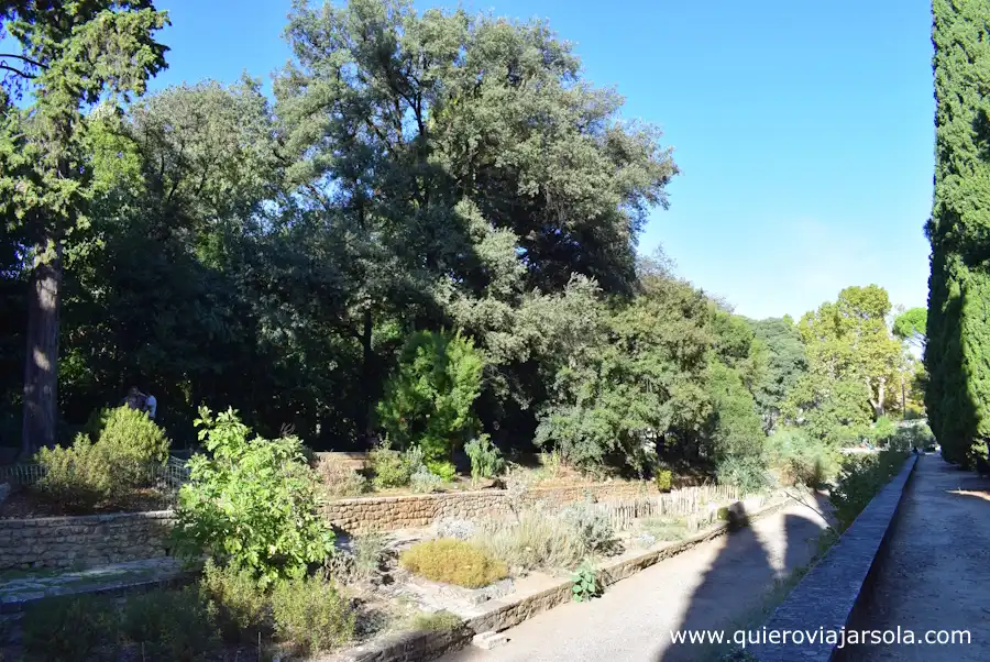 Un rincón del jardín