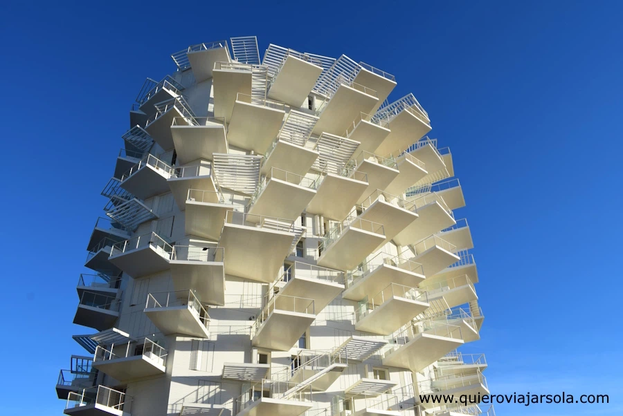 terrazas del edificio