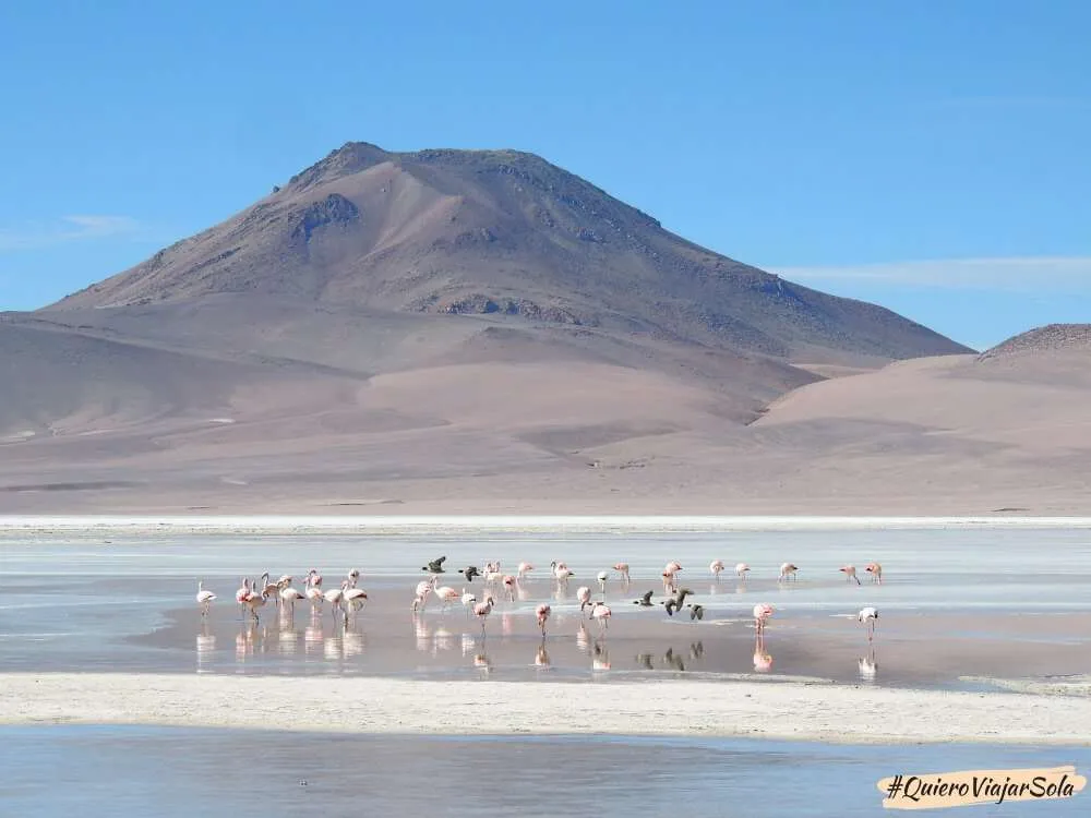 Reserva Nacional de Fauna Andina Eduardo Avaroa
