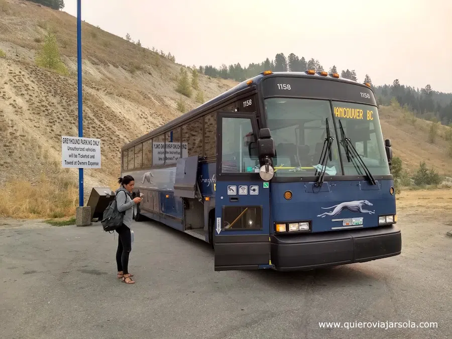 autobús de Greyhound estacioado