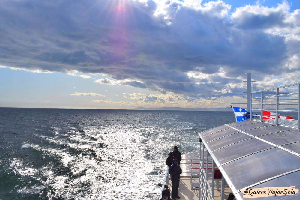 Cómo moverte por Canadá, tour ballenas