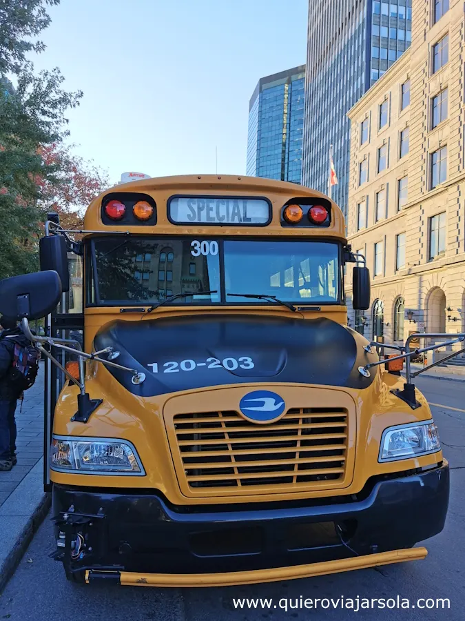 Autobús de Navette Natour