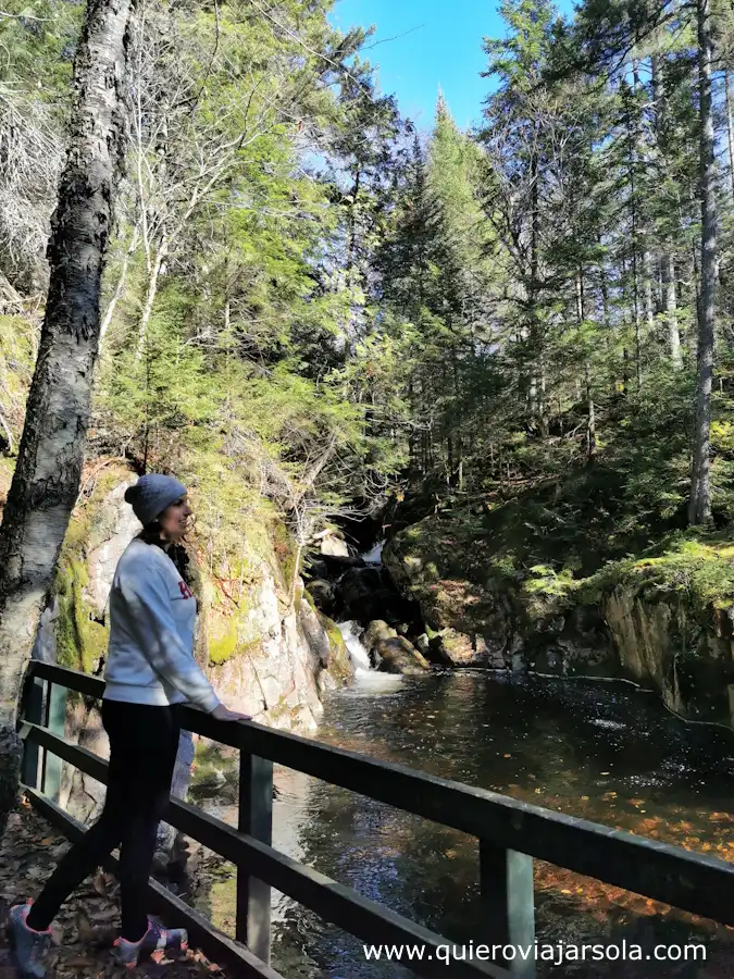 Yo admirando una cascada