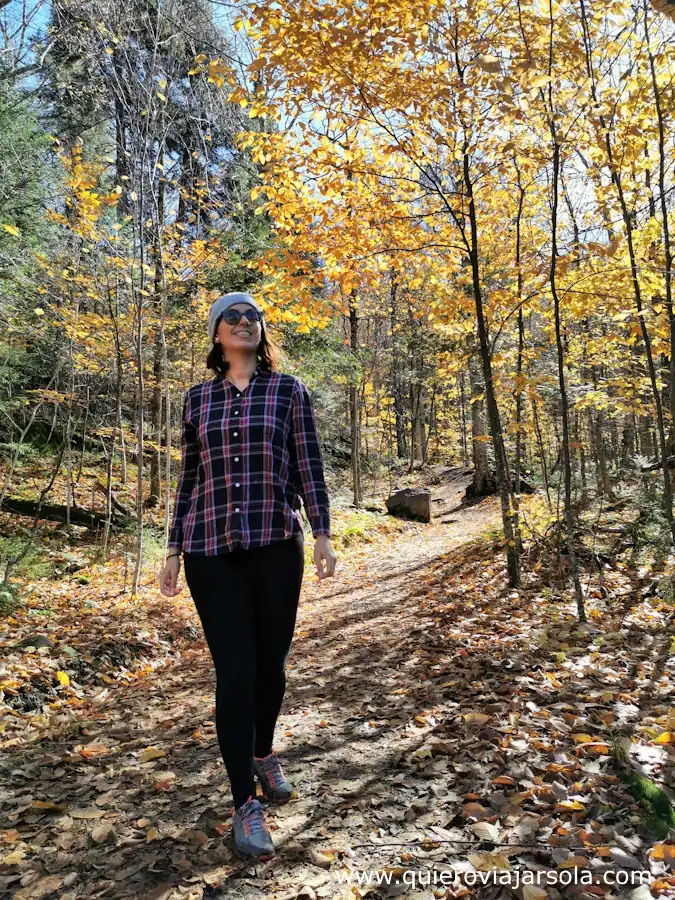 Yo caminando por el bosque