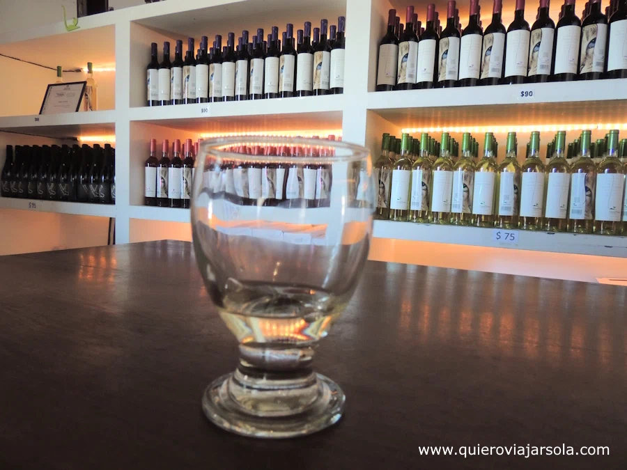 Mi copa en una degustación de vinos en una bodega de Cafayate