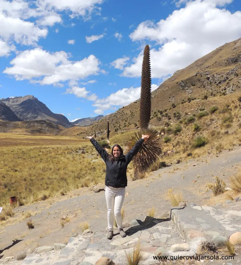 Yo junto a una puya de Raimondi