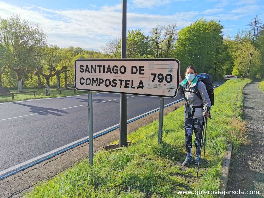 Hacer el Camino de Santiago sola, Camino Francés