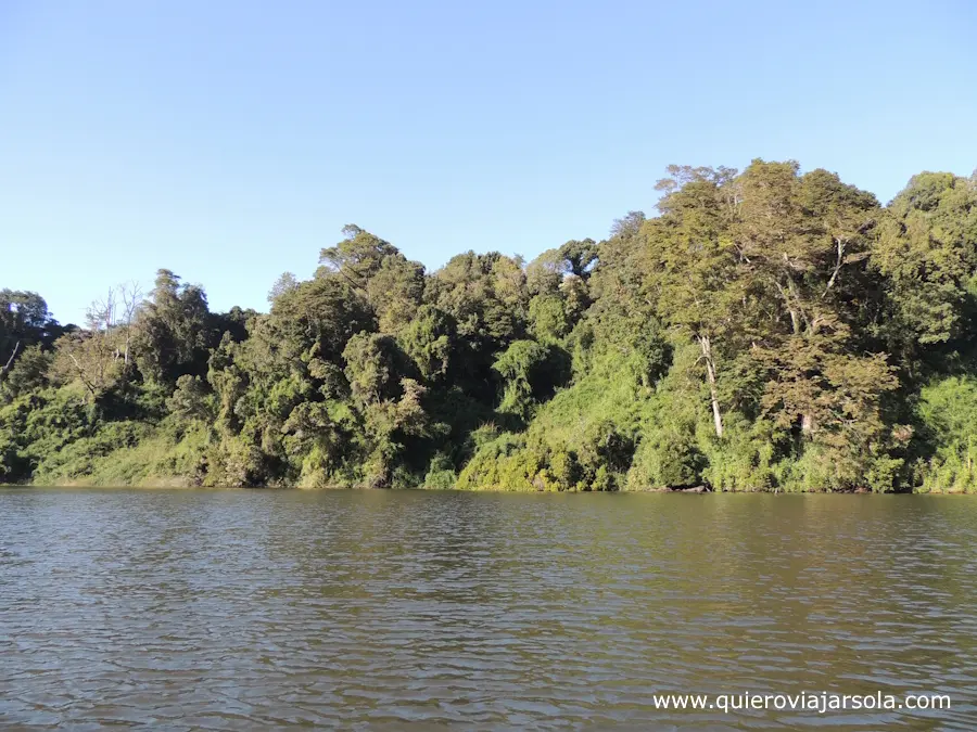 Laguna rodeada de bosque