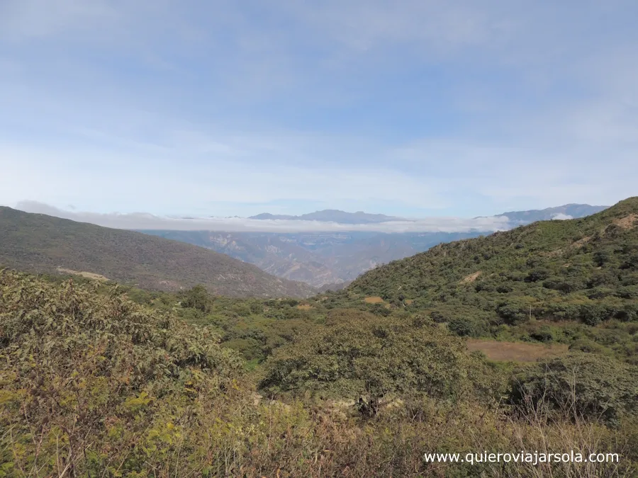 Montañas boscosas vistas desde La Higuera