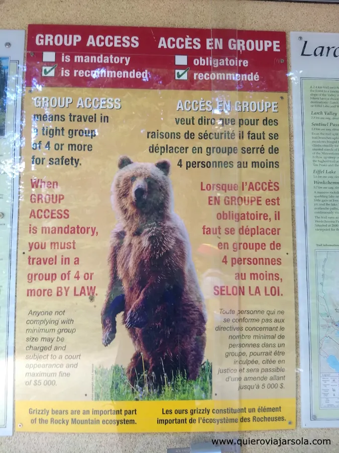 Cartel que advierte sobre los osos