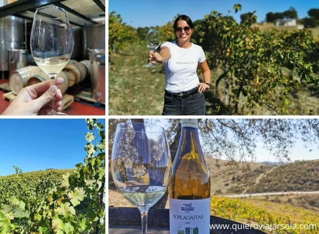 Que hacer en la Sierra Norte de Sevilla, bodegas Colonias de Galeón