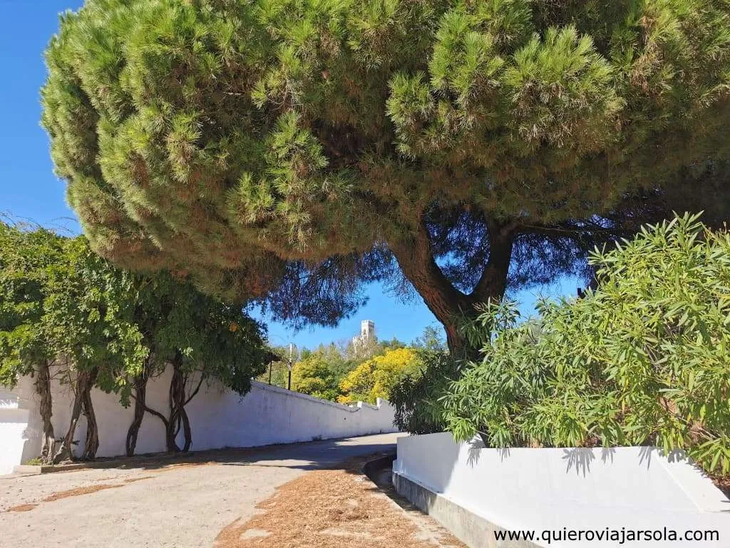 Que hacer en la Sierra Norte de Sevilla, Constantina