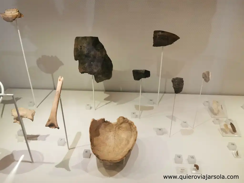 Qué ver en Burgos, Museo de la Evolución Humana