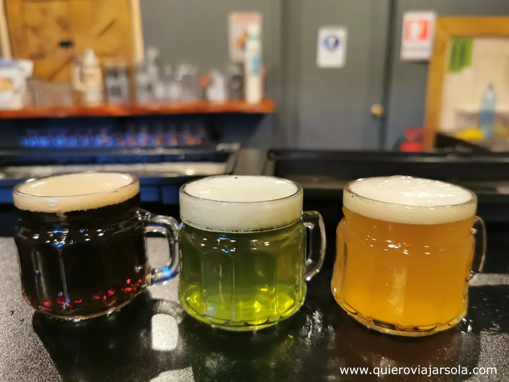 Qué hacer en Valdivia, ruta cerveza