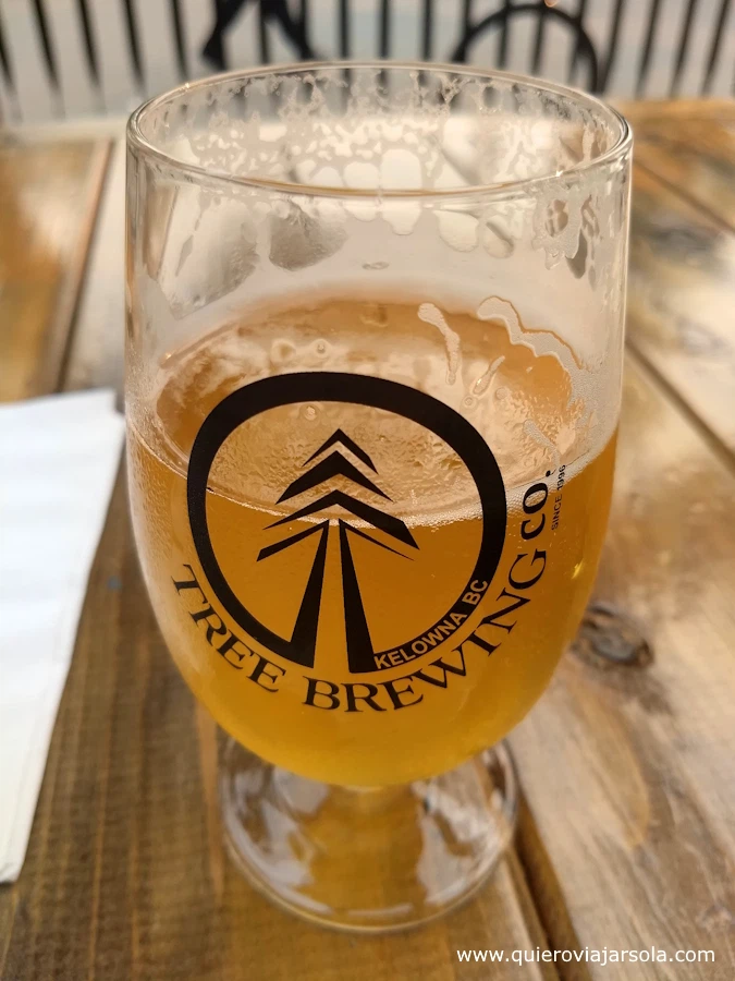Cerveza que probé en Tree Brewing