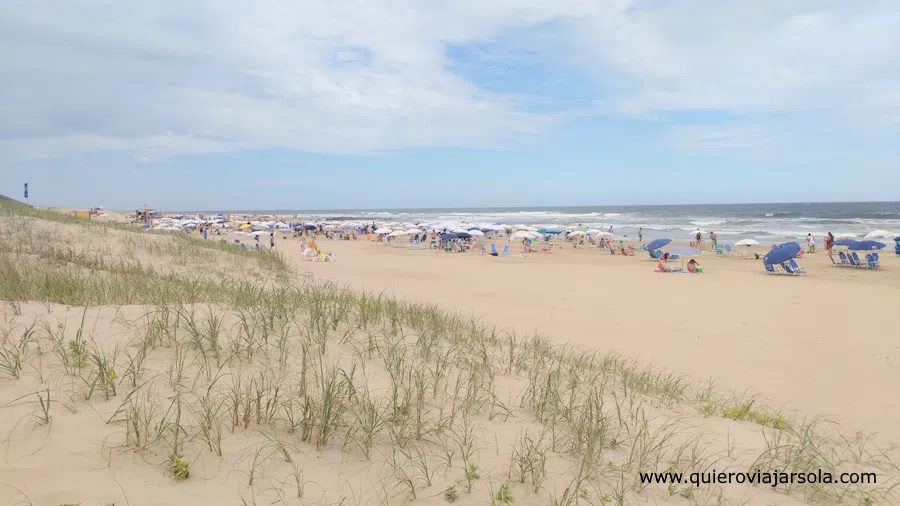 Vista de la playa desde las dunas