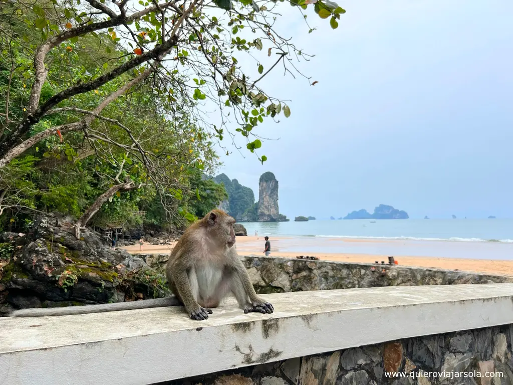 Qué hacer en Ao Nang, Monkey Trail