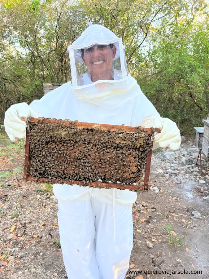 Yo sosteniendo los panales de abejas