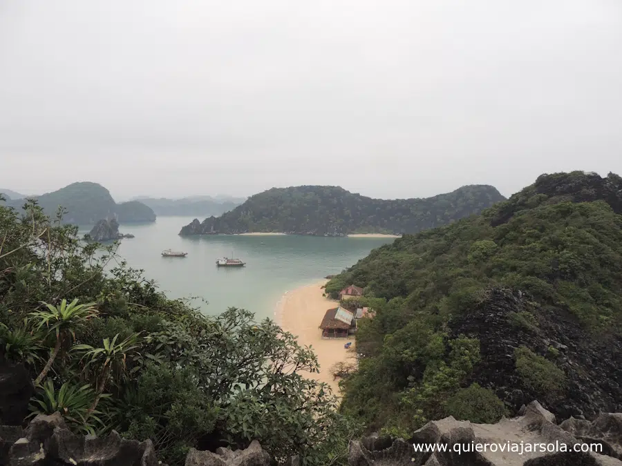 Vista de la isla desde arriba