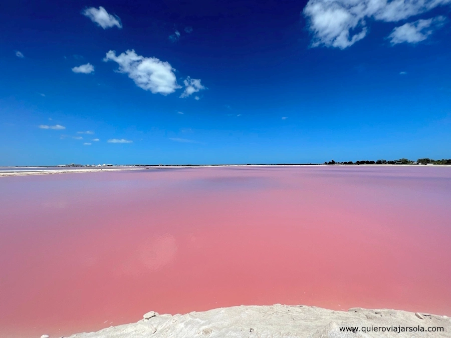 Laguna rosa en Las Coloradas