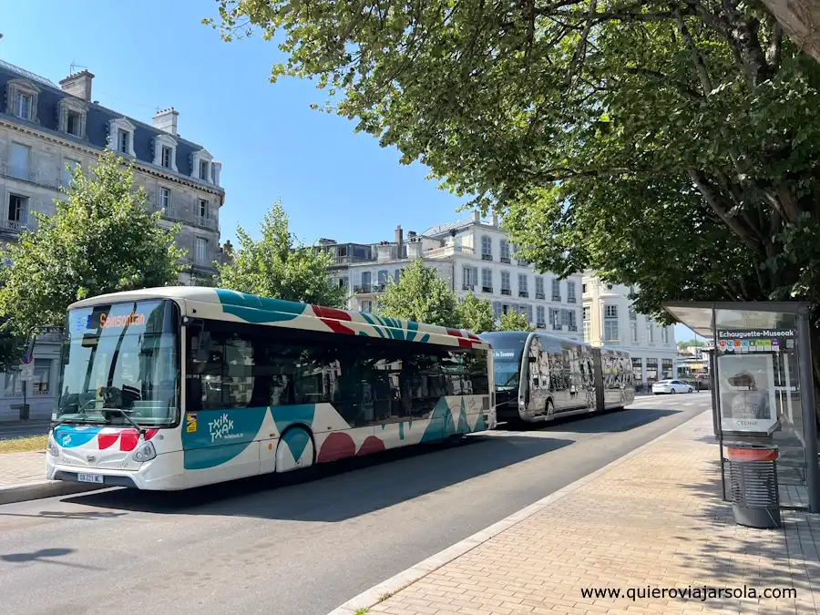 Autobuses de Txik Txak