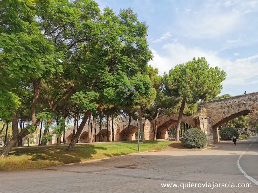 Zona de los jardines