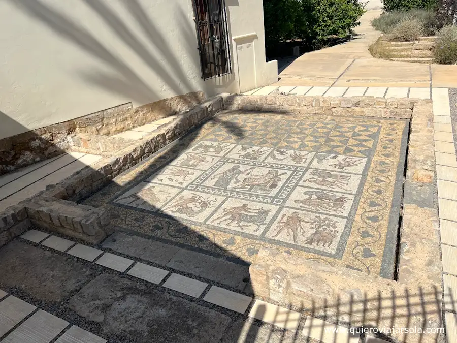 Vista del mosaico