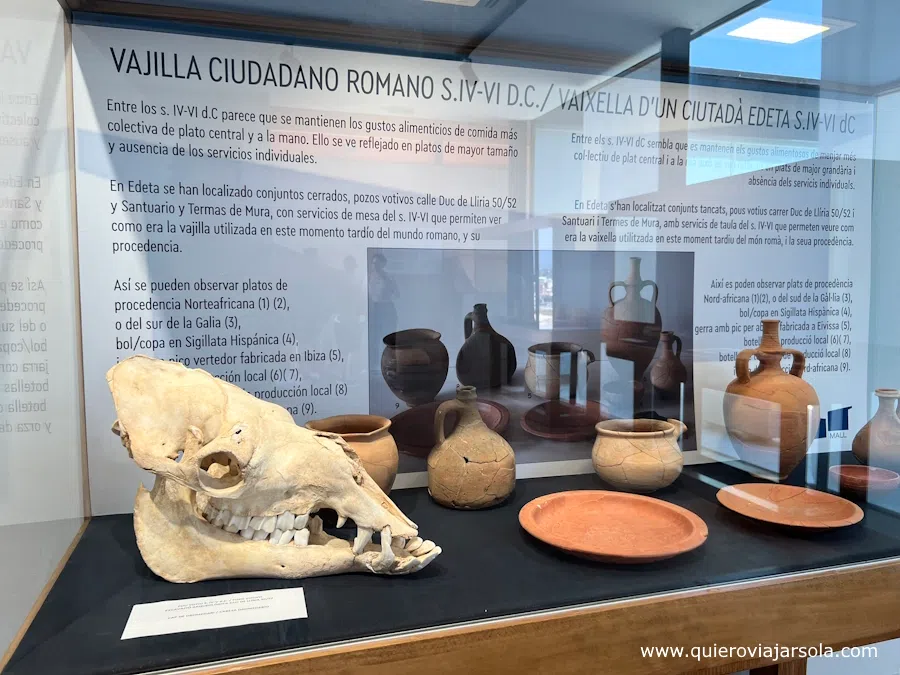 Vitrina del museo con cerámicas y una cabeza de animal