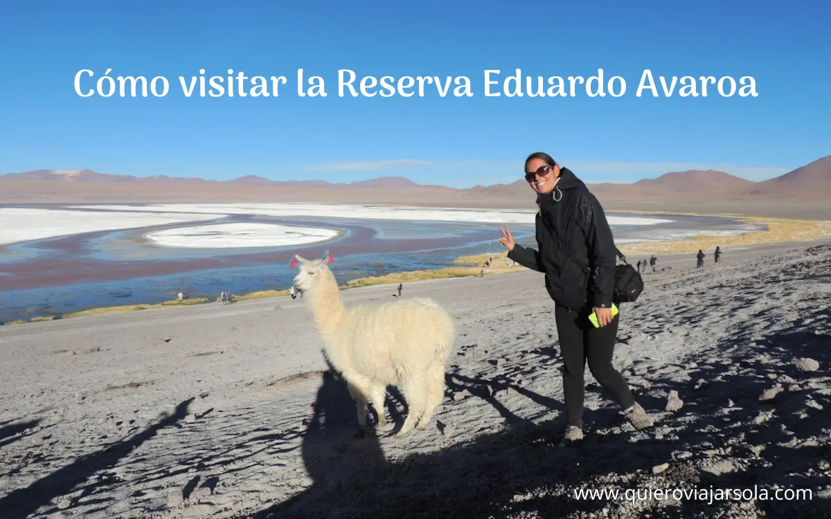 Yo en la laguna Colorada junto a una llama
